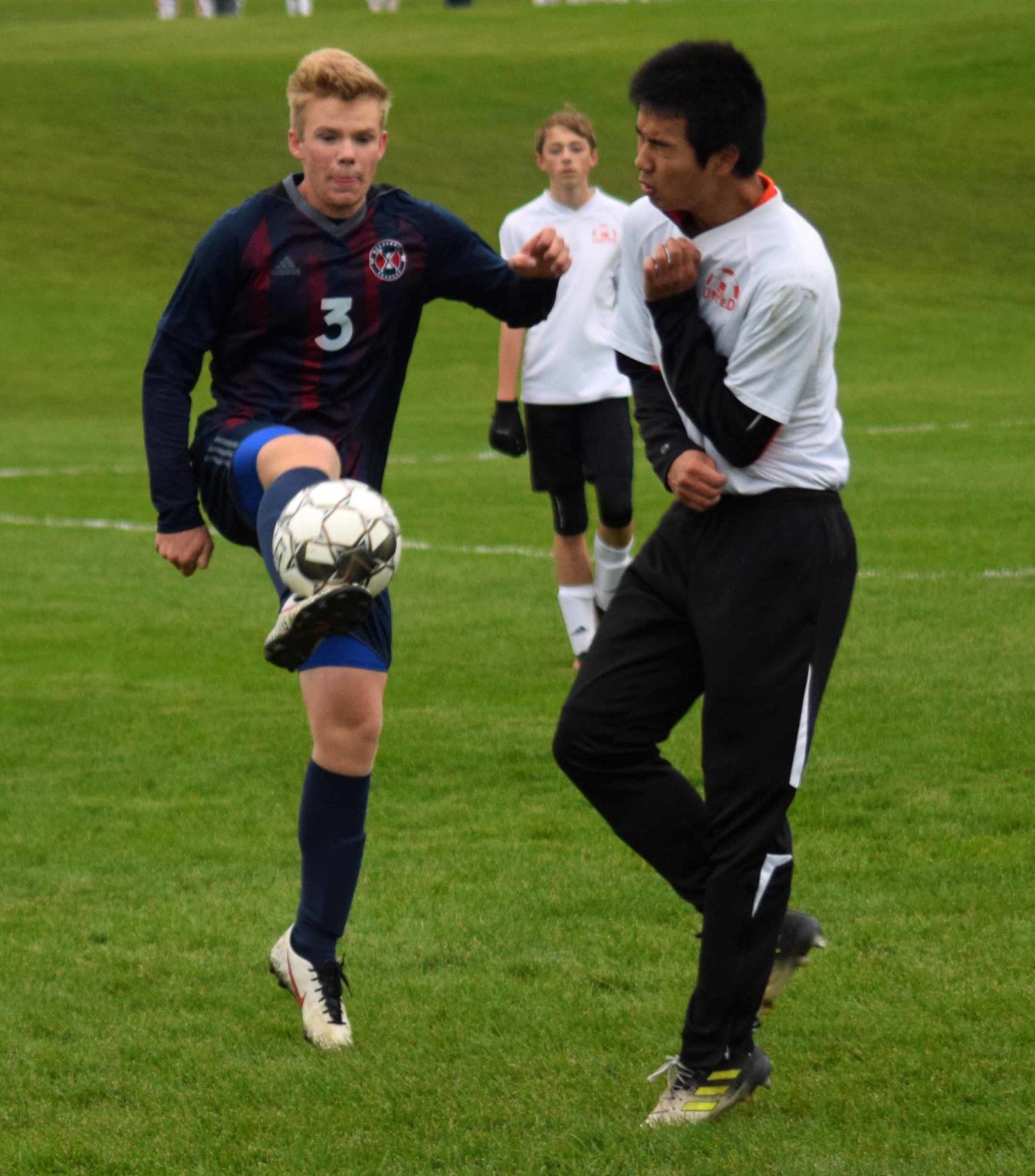 Eli Feller, Nelson Lu